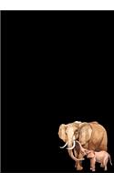 Elephant Journal