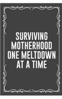 Surviving Motherhood One Meltdown at a Time