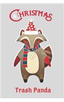 Christmas Trash Panda