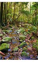 Woodland Stream Journal