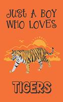 Just A Boy Who Loves Tigers
