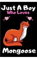 Just a boy who loves mongoose: A Super Cute mongoose notebook journal or dairy - mongoose lovers gift for boys - mongoose lovers Lined Notebook Journal (6"x 9")