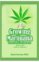 Growing Marijuana: From Seed to Harvest Step by Step Guide for Beginners