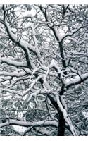 2019 Weekly Planner Winter Theme Twisted Winter Branches 134 Pages: (Notebook, Diary, Blank Book)(2019 Planners Calendars Organizers Datebooks Appointment Books Agendas)