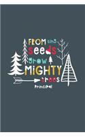 From Tiny Seeds Grow Mighty Trees Principal
