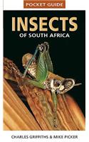 Pocket Guide: Insects of South Africa