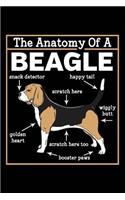 Anatomy of a Beagle
