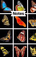 Notes