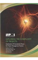 Exploring the Complexity of Projects: Implications of Complexity Theory for Project Management Practice