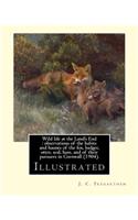 Wild life at the Land's End