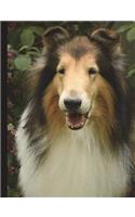 Sheltie Composition Book