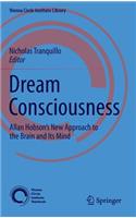 Dream Consciousness