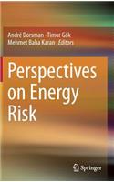 Perspectives on Energy Risk