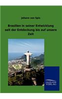 Brasilien in seiner Entwicklung seit der Entdeckung bis auf unsere Zeit: (German)