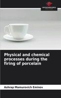 Physical and chemical processes during the firing of porcelain