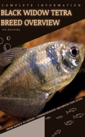 Black Widow Tetra