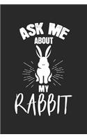Ask me about my rabbit