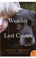 The Wonder of Lost Causes