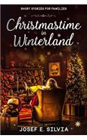Christmastime in Winterland