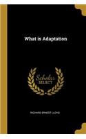 What Is Adaptation