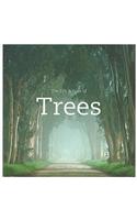 Life and Love of Trees