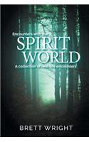 Encounters with the Spirit World
