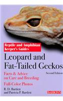 Leopard and Fat-Tailed Geckos