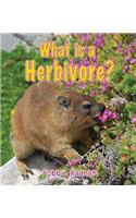 What Is a Herbivore?