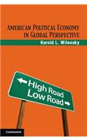 American Political Economy in Global Perspective