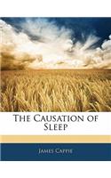 The Causation of Sleep