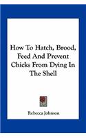 How To Hatch, Brood, Feed And Prevent Chicks From Dying In The Shell: (English)