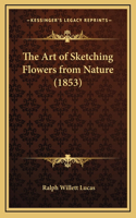 Art of Sketching Flowers from Nature (1853)