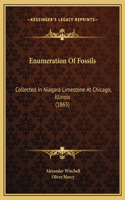 Enumeration Of Fossils: Collected In Niagara Limestone At Chicago, Illinois (1865)