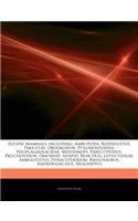 Articles on Eocene Mammals, Including: Amblypoda, Rodhocetus, Pakicetid, Obdurodon, Ptilodontoidea, Neoplagiaulacidae, Mesodmops, Parectypodus, Proche