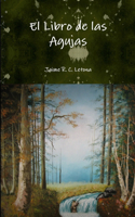 Libro de las Agujas