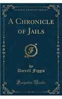 A Chronicle of Jails (Classic Reprint)