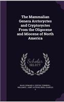 Mammalian Genera Arctoryctes and Cryptoryctes From the Oligocene and Miocene of North America