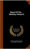 Report of the ... Meeting, Volume 6