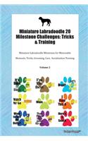 Miniature Labradoodle 20 Milestone Challenges