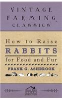 How To Raise Rabbits For Food And Fur