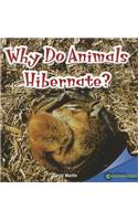 Why Do Animals Hibernate?