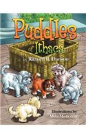 Puddles of Ithaca