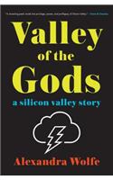 Valley of the Gods: A Silicon Valley Story