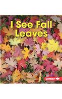 I See Fall Leaves