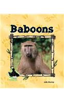 Baboons