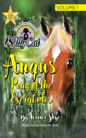 Angus: Pony of the Everglades