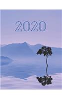 2020