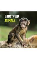 Baby Wild Animals Calendar 2020