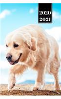 Golden Retriever Dog Calendar Week Planner 2020 / 2021 - Sniff and Search