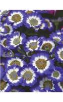 Flower Notebook Large Size 8.5 x 11 Ruled 150 Pages
